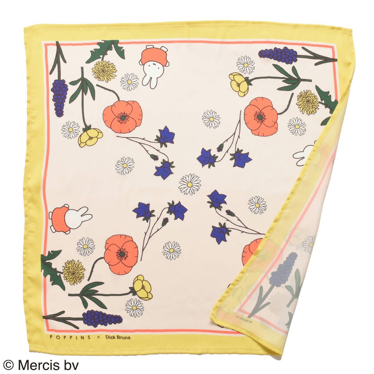 000000011303-03-l.jpg?t=